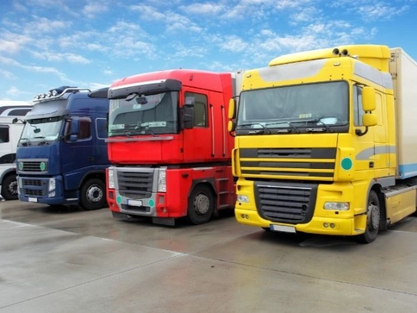 Adana Sapanca Nakliye